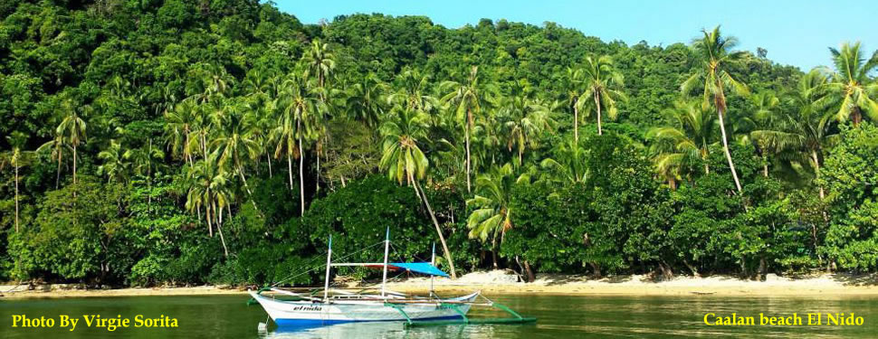 El Nido Palawan Real Estate
