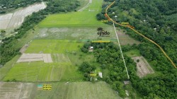 View More information